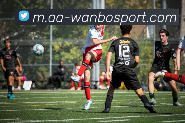 App Interface Preview