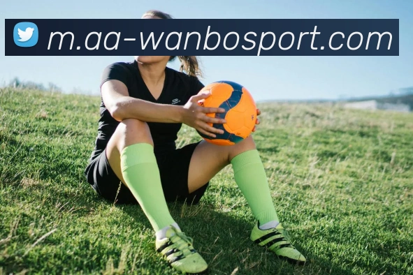 万博足球官网APP 封面图